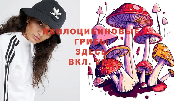 не бодяженный Верея