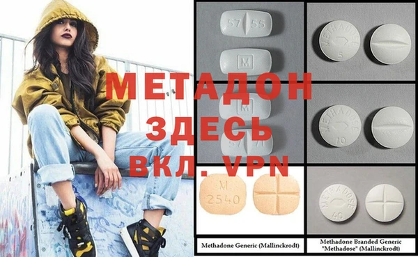 прущие грибы Бабаево