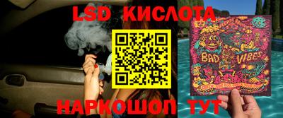 шишки Балашиха