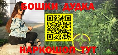 шишки Балашиха