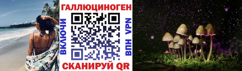 маркетплейс состав  купить наркотик  Выкса  Галлюциногенные грибы GOLDEN TEACHER 