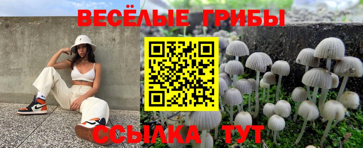 Галлюциногенные грибы ЛСД Выкса