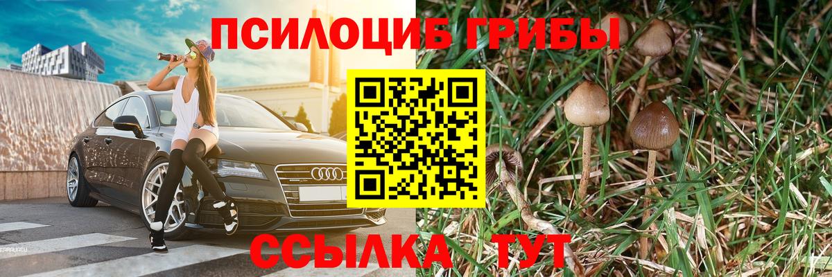 Псилоцибиновые грибы GOLDEN TEACHER  Галлюциногенные грибы MAGIC MUSHROOMS  Выкса 