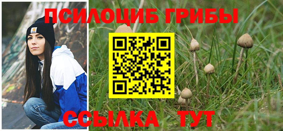Псилоцибиновые грибы GOLDEN TEACHER  Вход с VPN  как найти закладки  Выкса  Псилоцибиновые грибы MAGIC MUSHROOMS 