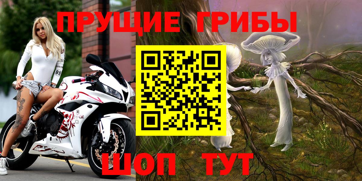 Псилоцибиновые грибы Psilocybe Выкса